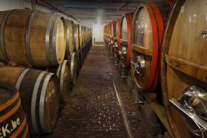 Lambic ageing in barrels at the Timmermans brewery in Itterbeek. Photo: Roel Mulder.